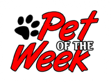Pet of the Week