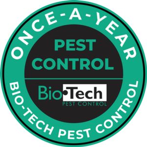 Home Pest Control Special